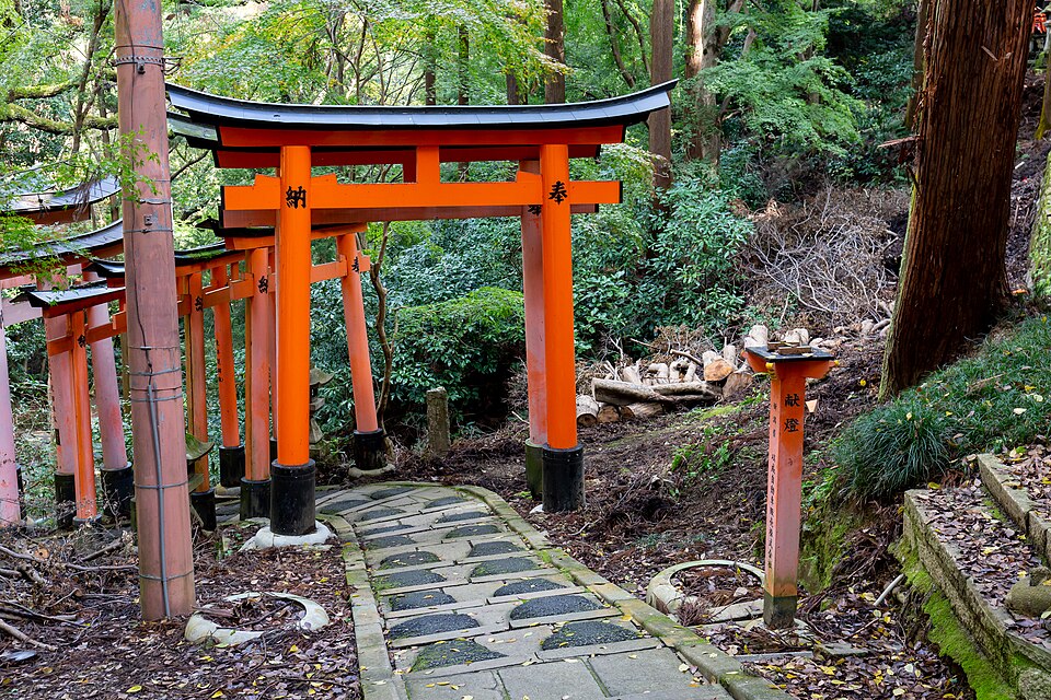 Vermilion torii along a paved path through the woods
