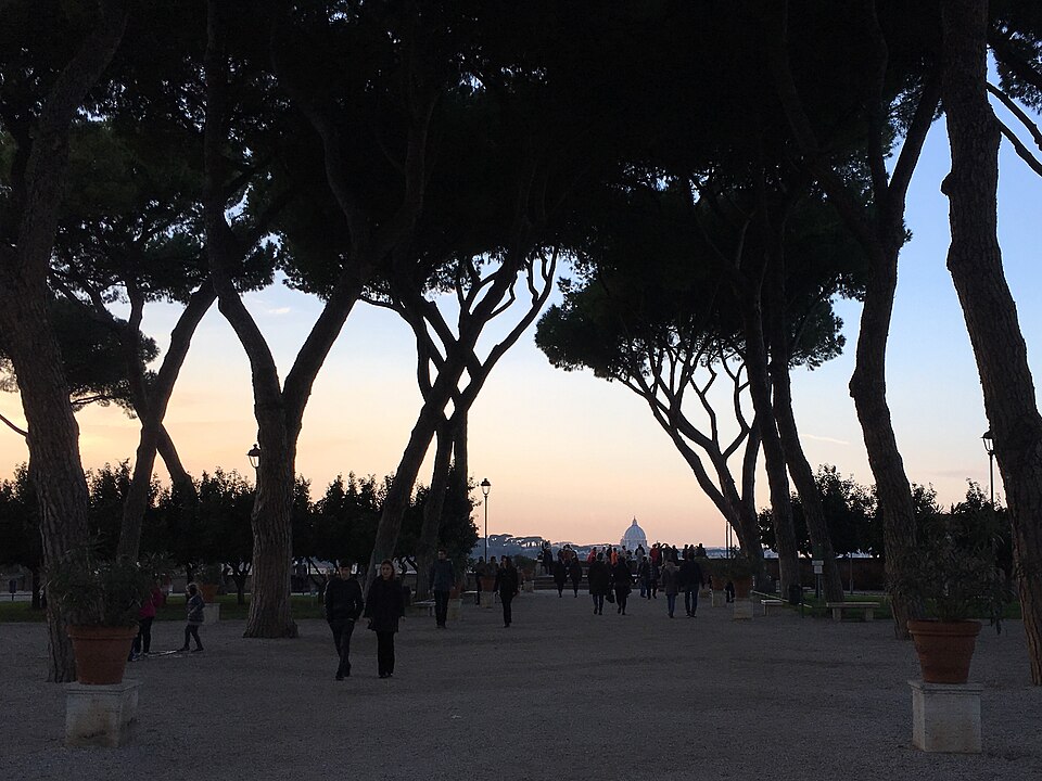 Umbrella pines in the Orange Garden at dusk, St Peter’s dome on the horizon
