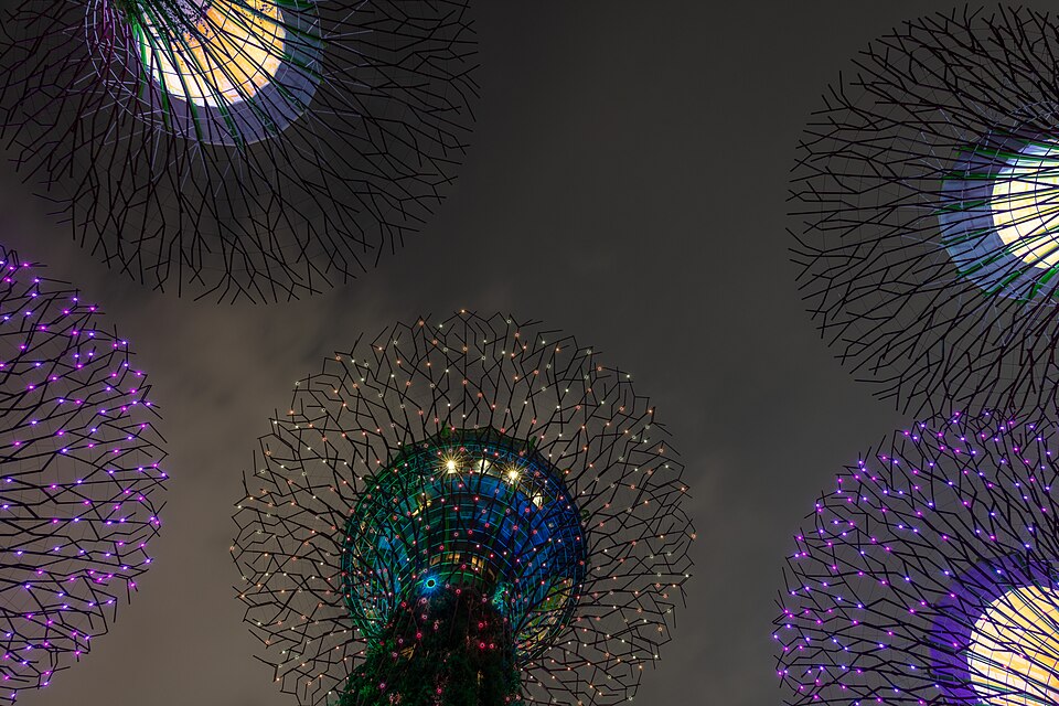 Lit Supertrees against the night sky at Gardens by the Bay